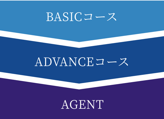BASIC > ADVANCE > AGENT